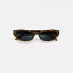 KAE | Leopard